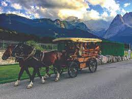 We did not find results for: Horse And Carriage Rides Edelweiss Lodge And Resort