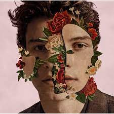 Maybe you would like to learn more about one of these? Shawn Mendes Deluxe Edt Mendes Shawn Amazon De Musik Cds Vinyl