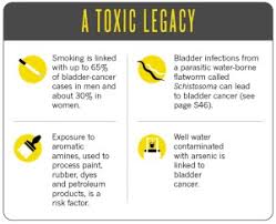 These are the five early signs to watch for. Unlocking Bladder Cancer Nature