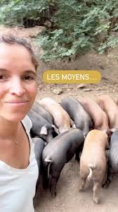 Avez vous déja vu un porc épic de coton ? Écoutez ça !