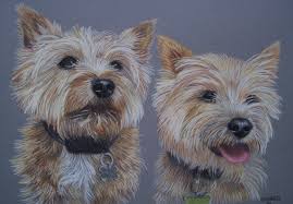 I am an international artist based in kent, the uk, specializing in hand painted pet portraits and wildlife paintings ranging from domestic animals to the big beasts on the plains of africa. Paintpaws Pet Portraits Home Facebook
