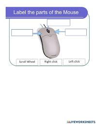 He runs across the mat and his is long and grey. Mouse Parts Interactive Worksheet