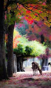 Maybe you would like to learn more about one of these? Sign In Nature Pictures Nature Photography Amazing Nature