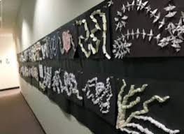 Relief Sculpture Worksheets Teaching Resources Tpt Relief sculpture is a form of art in architecture which adorns buildings and structures all over the world and has its own place in the history of mankind.