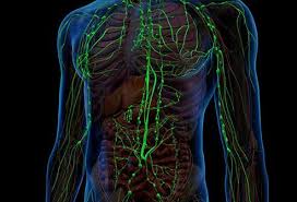 While it can occur at any age, most people who develop the illness are older adults. Non Hodgkin S Lymphoma Types Treatment Symptoms Stages Survival Rate