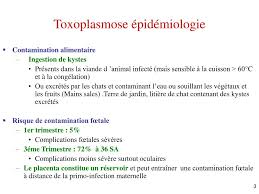 Ppt Toxoplasmose Powerpoint Presentation Free Download Id 584153