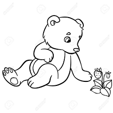 Coloriage Animaux Sauvages Petit Ours Mignon Bebe Regarde La Fraise Clip Art Libres De Droits Vecteurs Et Illustration Image 57627237