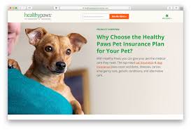 Press Paws Pet Photographer Mark Rogers For Healthy Paws Wonderful Machine