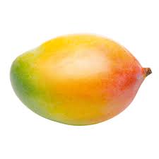 Mango mango's in st augustine, fl. Mango Bosch Boden Spies