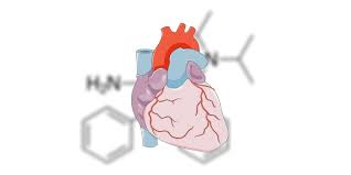 Image result for Antiarrhythmic
