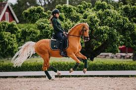 Dressageperformance Posted To Instagram Wow Forest Green Though Have You Checked Out The New Esstockholm Limi Equestrian Outfits Dressage Horses Horses
