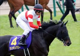 ダノンキングリー (danon kingly) は、日本の競走馬。主な勝ち鞍は2019年の毎日王冠（gii）、共同通信杯（giii）、2020年の中山記念（gii）。 馬名の意味は冠名＋王にふさわしい、王位に君臨することを願って。 Jraãƒ€ãƒŽãƒ³ã‚­ãƒ³ã‚°ãƒªãƒ¼æ¨ªå±±å…¸å¼˜ã§å¤§é˜ªæ¯ G1 ã¸ æˆ¸å´Žé¨Žæ‰‹ã®å¾©å¸°è¦‹è¾¼ã¿ã¯ Gj
