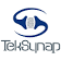 TekSynap logo