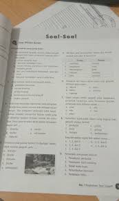 Soal Soal Geografi Kelas 10 Bab 1 Brainly Co Id