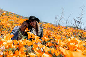 Trova l'offerta che fa per te grazie a 744 recensioni e 318 foto inserite dai viaggiatori de 12 hotel a lake elsinore, california, stati uniti. California Day Trip Lake Elsinore Poppy Super Bloom Cooking With Cocktail Rings