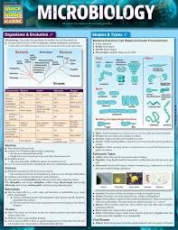 Biochemistry Basics Pogil Answer Key Pdf Microbiology This Reference Answers The Most Important Questions That Form The Foundation Of Microb Microbiology Microbiology Study Medical Laboratory Science