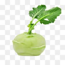 Check spelling or type a new query. Chopped Onion Png Free Download Onion Cartoon Vegetable