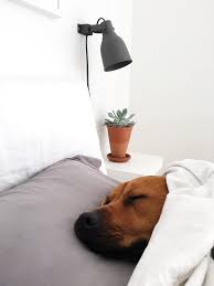 Ikea Hektar Wall Lamp Schlafzimmer Zimmer Einrichtung