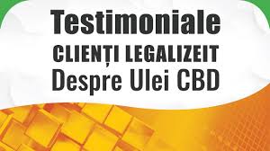 Până atunci, însă, românia pare a fi pe un culoar european de trafic de tone de droguri. Media