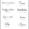 Fonts are a really great way to set the style for your designs. 1