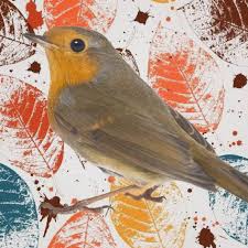 Reconnaitre Les Oiseaux Du Jardin Oiseaux Des Jardins Oiseaux Animaux Nature