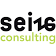 Seize Consulting