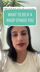 Wasp Sting Remedy: Tips for Treating and Preventing Wasp Stings