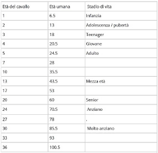 Si ha la tendenza a dire che fino a 10 anni la differenza non sia lampante, anche se una donna più grande di una decina d'anni fa sempre più scalpore che un lui, vecchio retaggio di un cliché da estinguere. Calcolare L Eta Del Cavallo E La Tabella Rispetto All Eta Dell Uomo