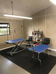 Northern tails sharpening & repair. Our New Big Small Dog Grooming By Jackie Benson Facebook