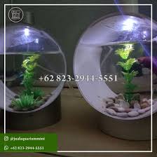 Wa 62 823 2944 5551 Dekorasi Aquarium Mini Di 2020 Aquarium Betta Instagram