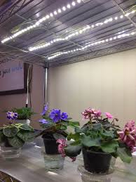 We did not find results for: How To Grow Plants With Led Lights African Violet Light Stand