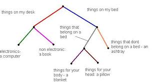 Shown Here Is A Picture Of A Branching Dichotomous Key Dichotomous Key House Design Design