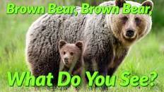Resultado de imagen de brown bear happy bimbi images