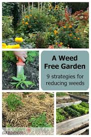 Use a utility knife to cut an x in the fabric at the location of the plant container. A Weed Free Garden 9 Strategies For Reducing Weeds