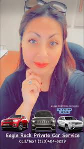 Hello! Veterinarian recommendations? We're new to the area. Fair, honest,  not fancy. We have a senior cat and a young small dog. ❤️ Photo of  aforementioned animals resting amidst the unpacking clutter |