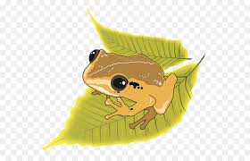 Check spelling or type a new query. Puerto Rico Dibujo Rana Imagen Png Imagen Transparente Descarga Gratuita