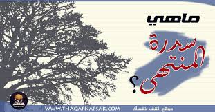 وعن مالك بن صعصعة عن النبي صلى الله عليه وسلم أنه رأى سدرة المنتهى ليلة. Ù…Ø§ Ù‡ÙŠ Ø³Ø¯Ø±Ø© Ø§Ù„Ù…Ù†ØªÙ‡ÙŠ Ø«Ù‚Ù Ù†ÙØ³Ùƒ