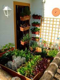 Now This Is Maximizing Use Of Small Space Small Space Gardening Small Balcony Garden Growing Vegetables