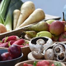 3) sie hatte geburtstag, deshalb schenkte ich meiner freundin einen hund. Was Darf Ich Essen Fur Den Darm Lebensmittel Mikrobiom Gesundheitosteopathie Korperpsychotherapie Coaching In Berlin Lichterfelde