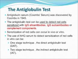 Image result for Indirect Coombs