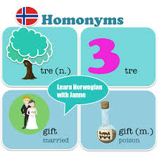 Words With The Same Spelling And Pronunciation But With Different Meaning In Norwegian They Are Called Homonymer Norway Language Norwegian Norway
