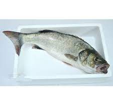We did not find results for: Lubina Salvaje 1kg Pescado A Casa Comprar Pescado Salvaje On Line