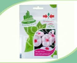 Sering dikeringkan dan dipakai sebagai bumbu masakan bahan pewarna, dan campuran kosmetik. Benih Bunga Vinca Solar Apricot Toko Trubus Official