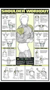Shoulder Training Sportmachinesgym Workout Clarky At Gym