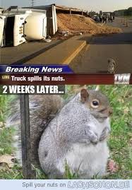Breaking News Lustige Bilder Videos Und Witze Lustige Humor Bilder Lustige Bilder Von Tieren Lustig
