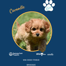 🌨️❄️ Winter Prices Alert! ❄️🌨️ As...