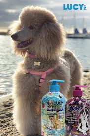 Lucy pet formulas for life pet foods: Pet Shampoo And Conditioner For Cats Dogs Lucy Pet In 2020 Pet Shampoo Pet Shampoo Conditioner Pets