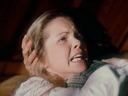 The Illustrated Little House