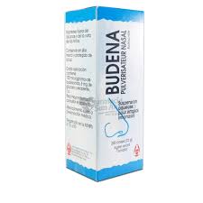 Budesonide ilk olarak 1973 yılında patentlenmiştir. Budena 100 Mcg Nasal Spray Pharmex Pharmaceutical Company