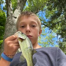 ᐅ Murphy Lake fishing reports🎣• Lapeer, MI (United States) fishing